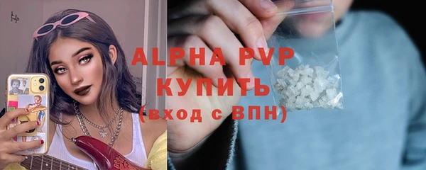 spice Богородицк