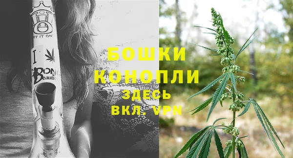 дживик Белоозёрский