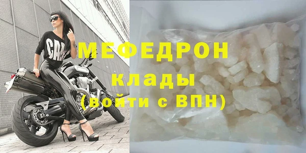 spice Богородицк