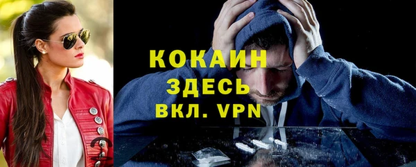 мдпв Богородск