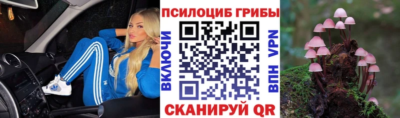 Галлюциногенные грибы Psilocybe  купить  сайты  Белая Холуница 