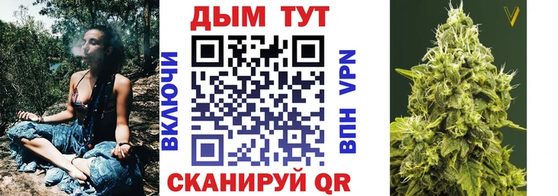 Шишки марихуана план Белая Холуница