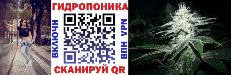Бошки марихуана OG Kush  нарко площадка телеграм  Белая Холуница 